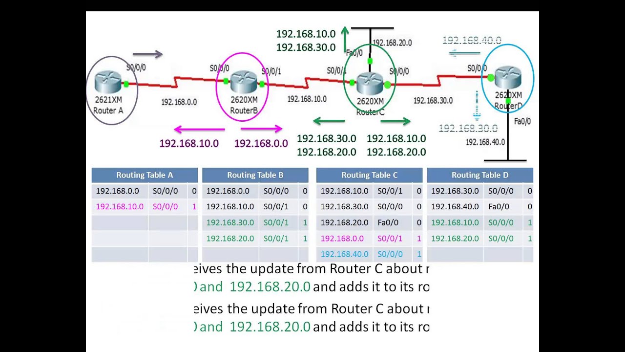 distance vector routing protocol